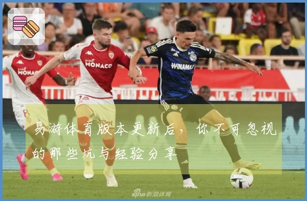 易游体育版本更新后，你不可忽视的那些坑与经验分享